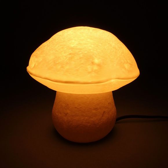 Gazzaladra Edulisfungus Organic Table Lamp, Bedroom Lighting - Picture 3 of 10